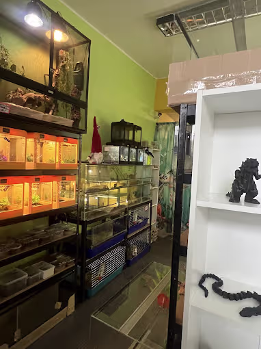 Pokój z kolekcją terrariów w sklepie egzobeast