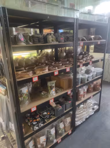 Półki z akcesoriami terrarystycznymi