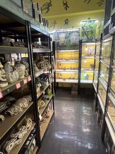 Alejka z dekoracjami do terrariów