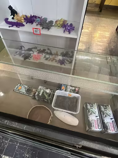 Figurki i dekoracje Exo Terra na półce